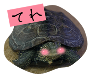 842750134