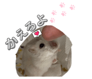 842750275