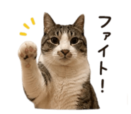 842750758