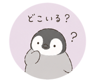 842751117
