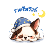 842751254
