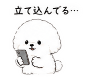 842752364