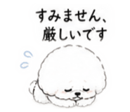 842752398