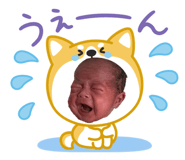 842754176