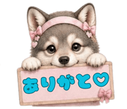 842754377