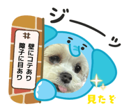 842754495