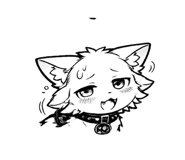 842754646