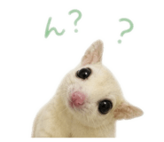 842754746