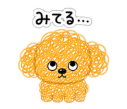 842754836