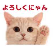 842754965