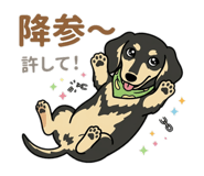 842755245