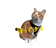 842755288