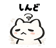 842755608
