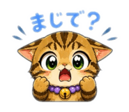 842755625