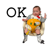 842755686