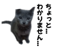 842755834