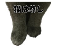 842755852