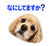 842756802