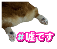 842757193