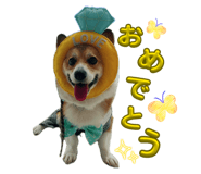 842757195