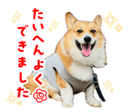 842757199