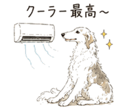 842757384