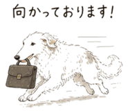 842757623