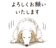 842757637