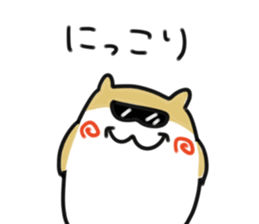 842757785