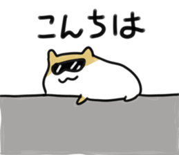 842757794