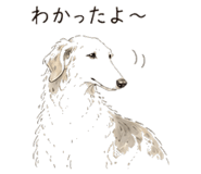 842758414