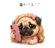 842761027