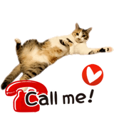 842761683