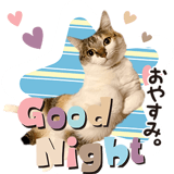 842761688