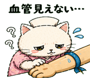 842762194