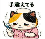 842762203