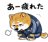 842763489