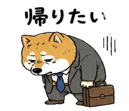 842763490