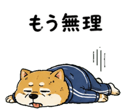 842763496