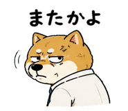 842763497