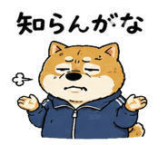 842763498