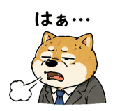 842763500