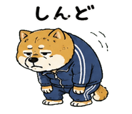 842763502