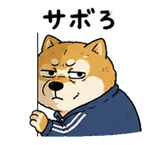 842763504