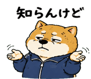 842763506