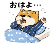842763517