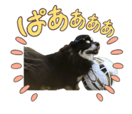 842763545
