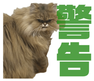 842763778