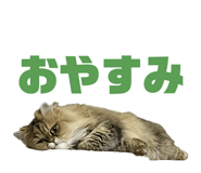 842763782