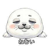 842763796
